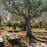 Il Pignocco Santa Veneranda
