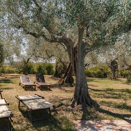 Il Pignocco Santa Veneranda