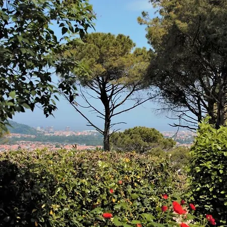 Country house Il Pignocco *