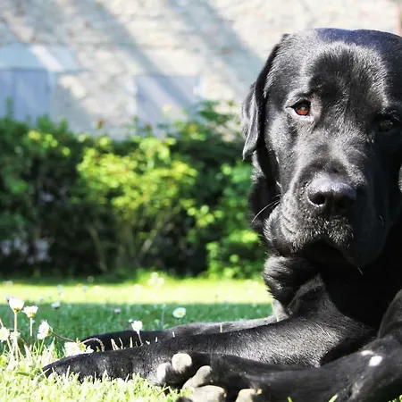 Il Pignocco Country house Santa Veneranda