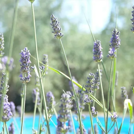 Il Pignocco Venkovský dům Santa Veneranda