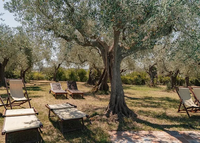 Il Pignocco Santa Veneranda